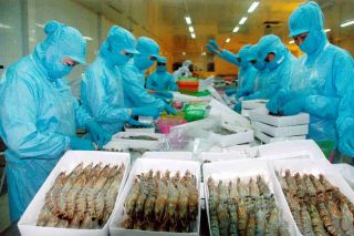 Cơ hội tham dự chương trình xây dựng thương hiệu tôm Việt Nam tại Úc
