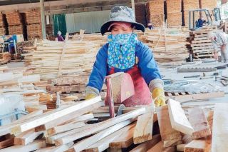 Mấu chốt vẫn là truy xuất nguồn gốc sản phẩm và tính pháp lý trong giao dịch
