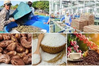 Việt Nam là một thị trường đầy tiềm năng và đã làm rất tốt vượt ra khỏi tình hình kinh tế ảm đạm của toàn cầu