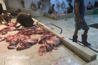 Phát hiện 02 cơ sở giết mổ trái phép tại huyện Trảng Bom