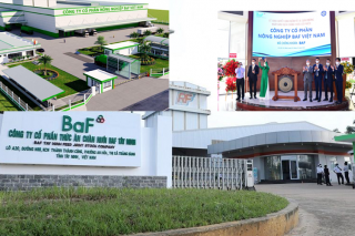 Thương hiệu BaF chăn nuôi và hy vọng Top 3 về chuỗi hoàn thiện 3F