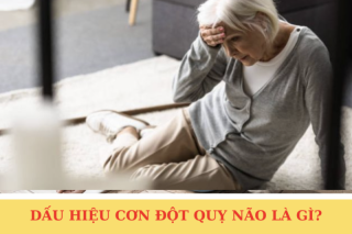 Dấu hiệu đột quỵ não trước 1 tuần và cách phòng ngừa từ Nattospes
