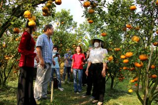 Đồng Tháp phấn đấu thu hút 3,8 triệu lượt khách du lịch năm 2023