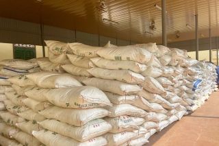 Quảng Trị tăng cường chống buôn lậu, gian lận thương mại đường cát nhập lậu