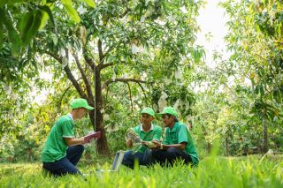 Đồng Tháp: 64 hợp tác xã nông nghiệp có mã vùng trồng phục vụ xuất khẩu