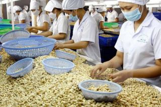 Ba doanh nghiệp Việt bị lừa đảo khi xuất khẩu sang Dubai: Bộ Công Thương vào cuộc
