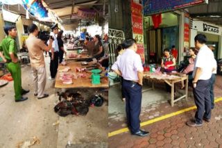 Nghệ An: Tăng cường công tác kiểm tra vệ sinh thú y, đảm bảo an toàn thực phẩm