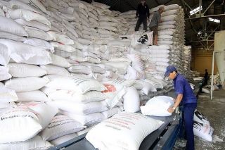 Bảo đảm nguồn lương thực dự trữ quốc gia, chủ động sẵn sàng ứng phó kịp thờicác tình huống đột xuất