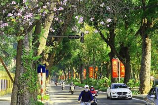 Dự báo thời tiết ngày 21/9: Hà Nội nắng nóng, đêm có mưa rào vài nơi
