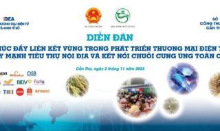 Phát triển thương mại điện tử tại đồng bằng sông Cửu Long và các tỉnh Đông Nam Bộ
