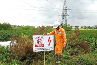 Công ty Điện lực Bắc Giang: Tăng cường các biện pháp ngăn ngừa vi phạm hành lang bảo vệ lưới điện