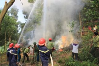 Đắk Lắk triển khai Kế hoạch bảo vệ rừng và phòng cháy, chữa cháy rừng năm 2024