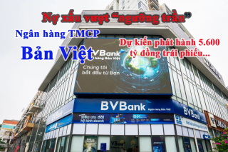 Gam màu sáng tối trong bức tranh mang thương hiệu BVBank – Ngân hàng TMCP Bản Việt