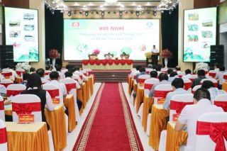 Nghệ An đặt mục tiêu đạt hơn 412 nghìn tấn lương thực trong vụ Hè Thu - Mùa 2024
