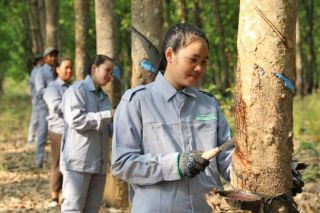 THACO AGRI hướng tới mô hình phát triển nông nghiệp bền vững