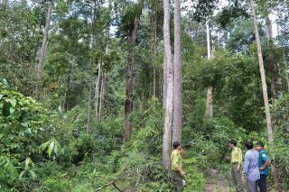 Đắk Lắk tăng cường thực hiện trách nhiệm quản lý Nhà nước về lâm nghiệp
