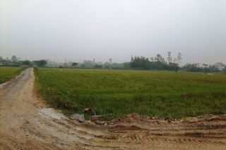 Có thể chuyển một phần đất trồng cây sang đất ở?