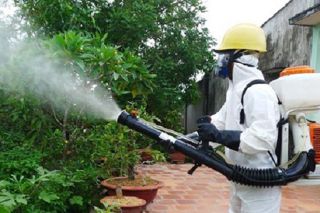 Ca mắc sốt xuất huyết liên tục tăng