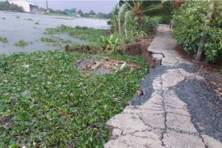 Long An thực hiện công tác phòng, chống sạt lở bờ sông, kênh, rạch