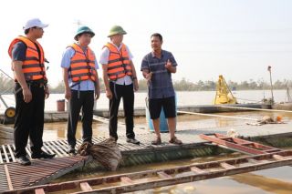 Bắc Ninh: Sở Công Thương hỗ trợ kết nối, tiêu thụ sản phẩm cá lồng cho các hộ dân tại huyện Lương Tài