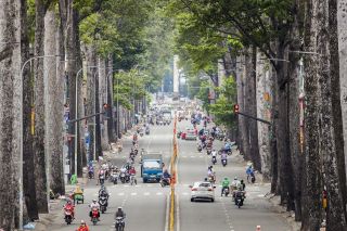 TP. Hồ Chí Minh thay thế, hạ thấp gần 3.000 cây xanh hư hại, mất an toàn