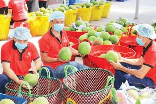 Việt Nam - Trung Quốc hội nhập đa chiều