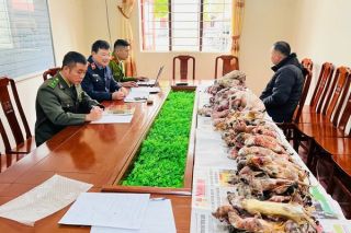 Lạng Sơn: Phát hiện, bắt giữ 2 vụ buôn bán động vật hoang dã