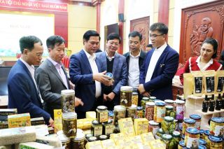 Bắc Ninh đánh giá, phân hạng sản phẩm OCOP đợt 2 năm 2024