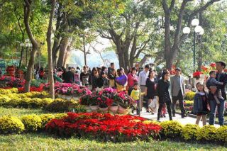 Thời tiết mùng 1 Tết: Bắc Bộ trưa chiều trời nắng