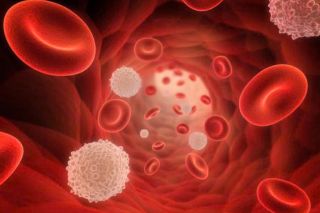 Các loại thực phẩm giúp tăng hemoglobin tự nhiên và hỗ trợ sức khỏe máu