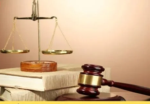 Nghị định quy định phạm vi, nhiệm vụ, quyền hạn và trách nhiệm trong tổ chức thi hành pháp luật