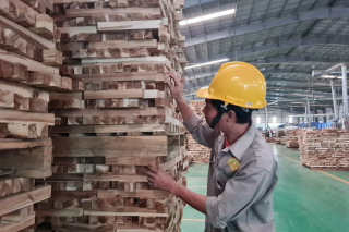 Ngành gỗ Việt Nam: Nếu đưa xuất khẩu về 0 cũng chấp nhận để đạt bước tăng trưởng mới