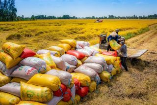 ADB hỗ trợ an ninh lương thực lên tới 40 tỷ đô la vào năm 2030