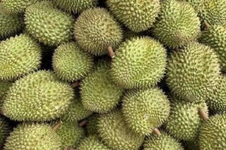 Giá sầu riêng hôm nay 9/7: Thị trường ổn định