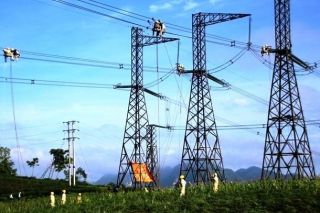 Tư vấn Xây dựng điện 2 ghi nhận lãi giảm hơn 40% trong nửa đầu 2025