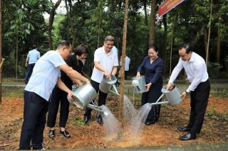 Supe Lâm Thao hưởng ứng chương trình trồng cây tại Khu di tích lịch sử Đền Hùng