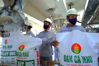 Điểm sáng ngành phân bón quý II/2025: DPM và DCM bứt phá