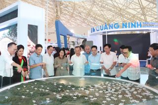 Bắc Ninh: Kiểm tra tiến độ thực hiện gian trưng bày tại Triển lãm “80 năm Hành trình Độc lập - Tự do - Hạnh phúc”