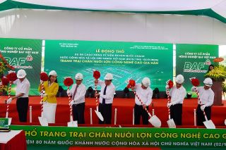 Toàn tỉnh có 64 trang trại tham gia liên kết sản xuất và tiêu thụ sản phẩm