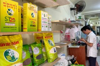 Doanh nghiệp tư nhân và cuộc chiến chống xâm phạm thương hiệu: Từ thực tiễn đến chính sách