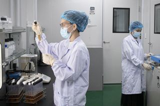 Cơ chế, chính sách thu hút chuyên gia khoa học, công nghệ, đổi mới sáng tạo và chuyển đổi số