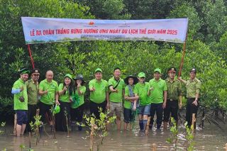 Trồng rừng ngập mặn tại Cà Mau: Bước khẳng định cho du lịch xanh