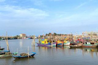 Ninh Bình kiên quyết chống khai thác thủy sản bất hợp pháp, góp phần gỡ “thẻ vàng” IUU