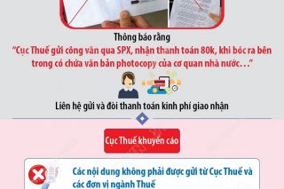 Cục Thuế cảnh báo quan trọng về giả mạo lừa đảo
