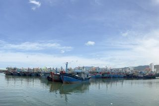 Cà Mau quyết liệt gỡ “thẻ vàng” IUU