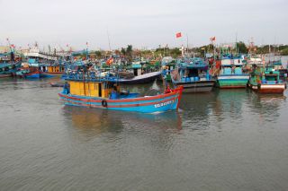 TP. HCM triển khai các nhiệm vụ, giải pháp chống khai thác hải sản bất hợp pháp