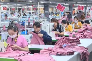 Sản xuất xanh và FTA: Động lực giúp Thanh Hóa bứt phá xuất khẩu