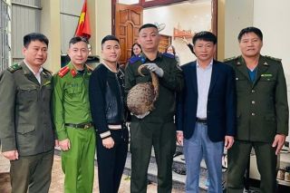 Hà Tĩnh: Vườn Quốc gia Vũ Quang tiếp nhận 2 cá thể động vật hoang dã quý hiếm