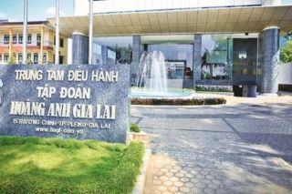 HAGL bứt phá trở lại: Cú bắt tay chiến lược từ các tổ chức tài chính