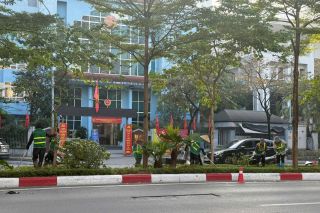 Hà Nội đẩy mạnh trồng cây mùa đông để chuẩn bị cảnh quan Tết